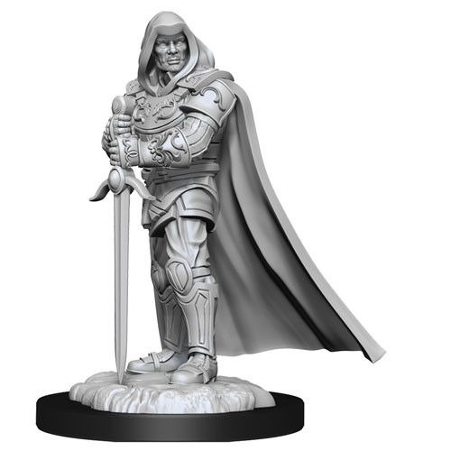 D&D Mini Human Paladin Male