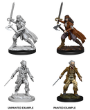 D&D Nolzurs Marvelous Unpainted Miniatures Vampire Hunters