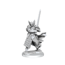 D&D Frameworks Dragonborn Paladin Male