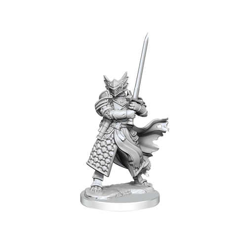 D&D Frameworks Dragonborn Paladin Male