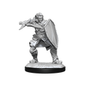D&D Mini Human Paladin Male