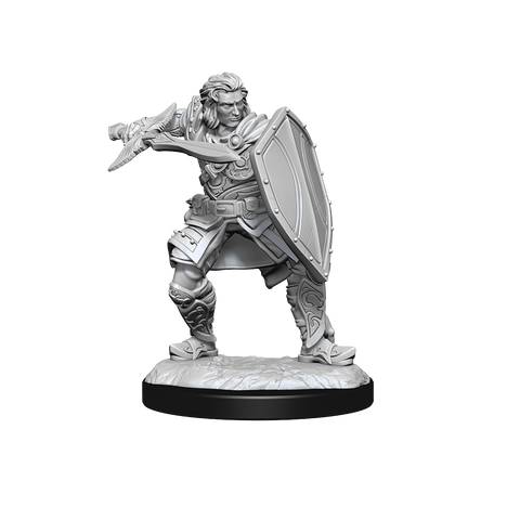 D&D Mini Human Paladin Male