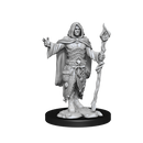 D&D Mini Human Druid Male