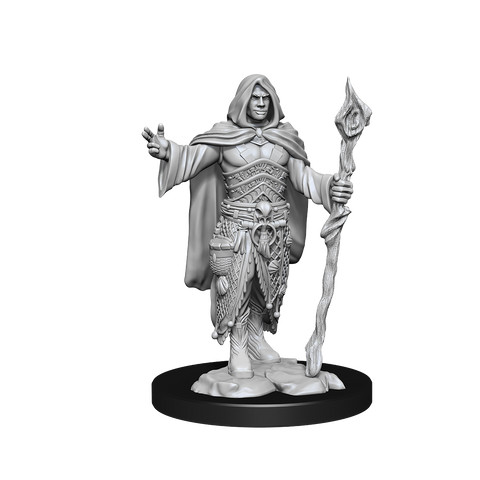 D&D Mini Human Druid Male