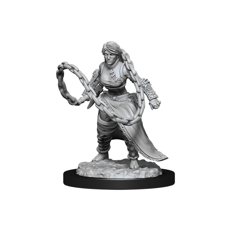 D&D Mini Human Monk Female