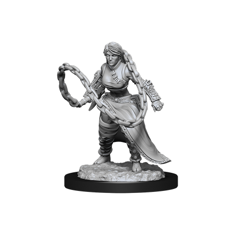 D&D Mini Human Monk Female
