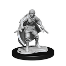 D&D Mini Half-Elf Rogue Female
