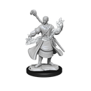 D&D Mini Half-Elf Wizard Male