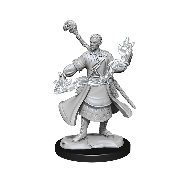 D&D Mini Half-Elf Wizard Male