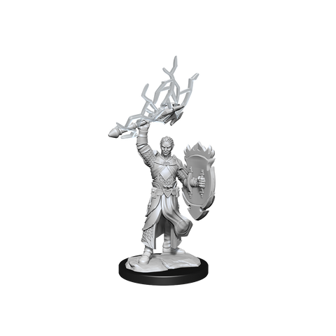D&D Mini Half-Elf Paladin Male