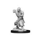 D&D Mini Warforged Monk