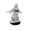 D&D Mini Night Hag & Dusk Hag