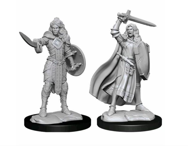 Pathfinder Deep Cuts Unpainted Miniatures Human Champion Female