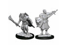 Pathfinder Deep Cuts Unpainted Miniatures Human Champion Male