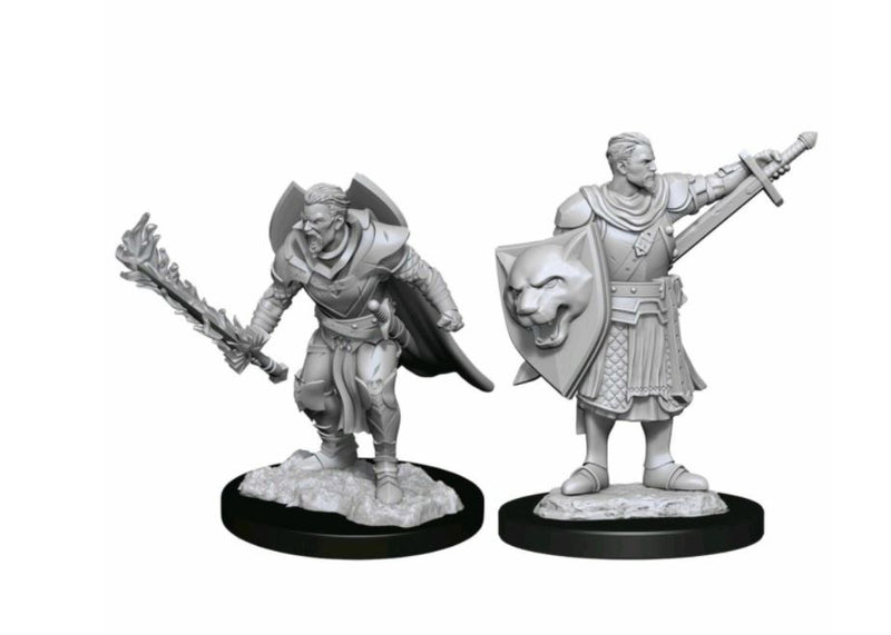 Pathfinder Deep Cuts Unpainted Miniatures Human Champion Male