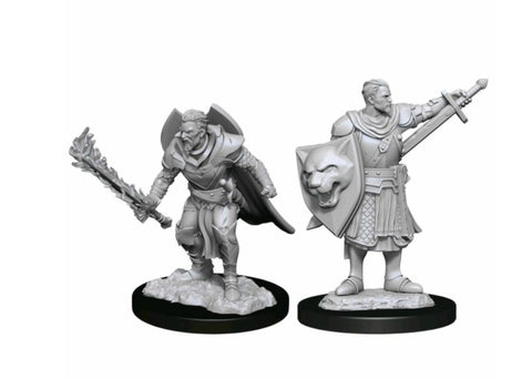 Pathfinder Deep Cuts Unpainted Miniatures Human Champion Male
