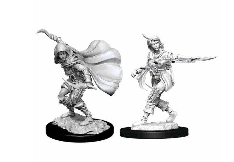 Pathfinder Deep Cuts Unpainted Miniatures Human Rogue Female