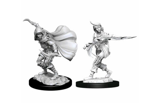 Pathfinder Deep Cuts Unpainted Miniatures Human Rogue Female