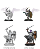D&D Nolzurs Marvelous Unpainted Miniatures Aasimar Male Paladin