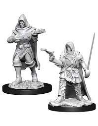 Pathfinder Deep Cuts Unpainted Miniatures Human Rogue Male