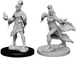 Pathfinder Deep Cuts Unpainted Miniatures Elf Female Sorcerer